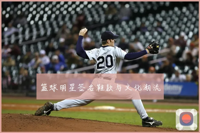 篮球明星签名鞋款与文化潮流