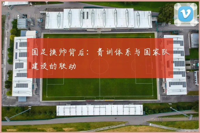 国足换帅背后:青训体系与国家队建设的联动